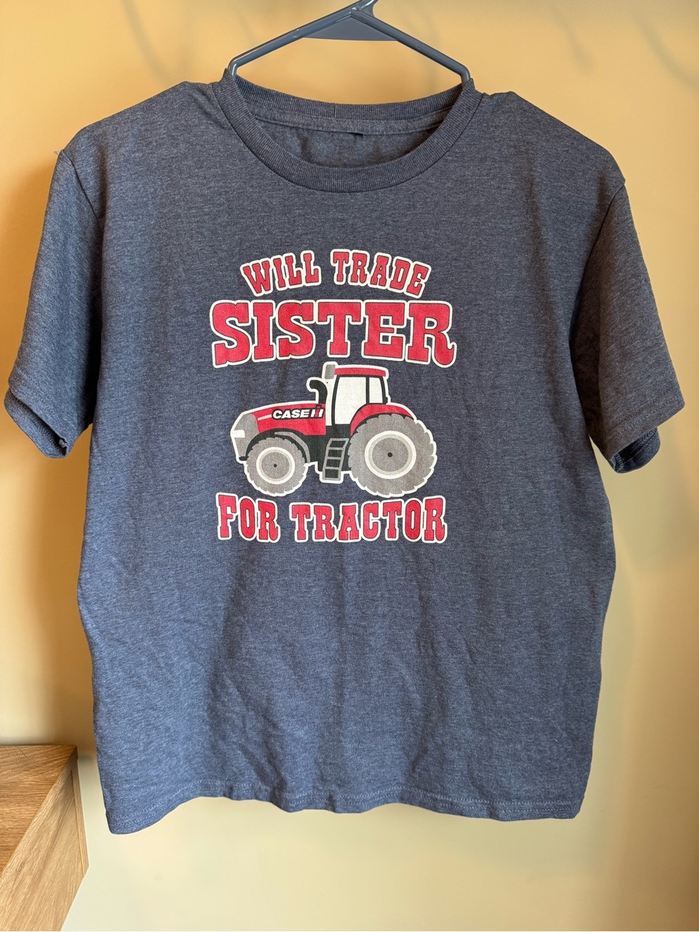 Kids' Gray Graphic Tee - "Will Trade Sister for Tractor"